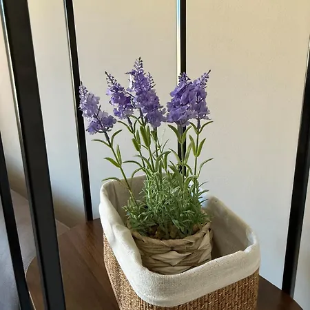 דירה Salvia, Boutique *