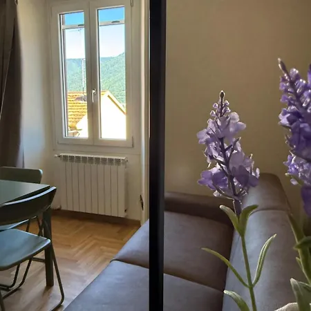 Salvia, Boutique * Colonno