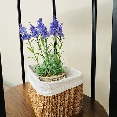 דירה Salvia, Boutique *