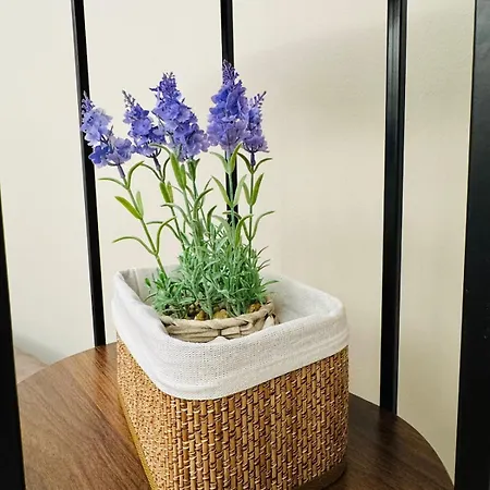 Salvia, Boutique * Colonno